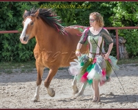 1-13JUIN 0867
